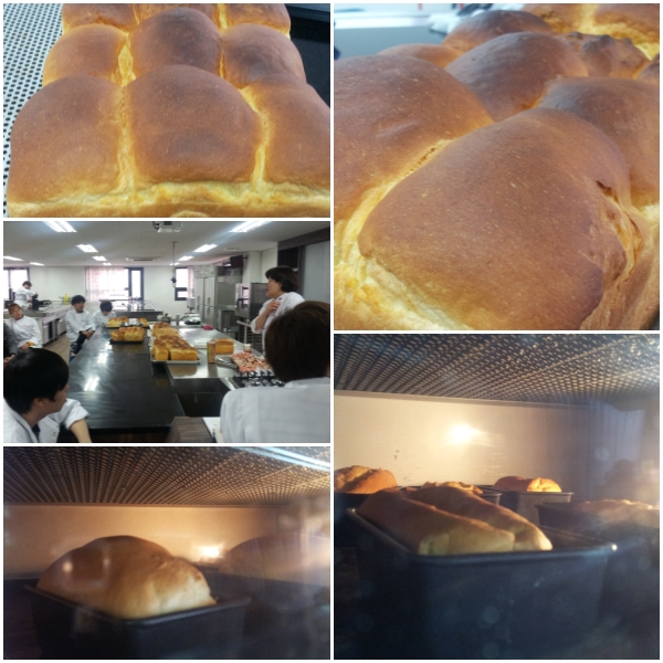 서울연희실용전문학교 실용음악학과 뮤지컬학과 뮤직비지니스학과 방송연예매니지먼트학과 등 학교생활 - 제과제빵학과 버터탑식빵 실습